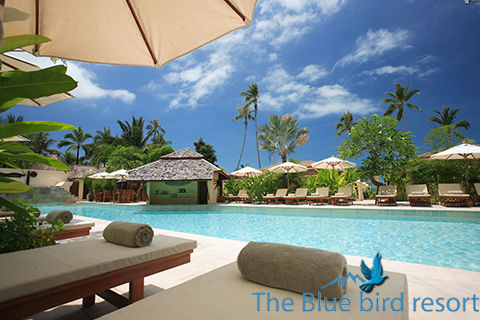 The Blue Birdresort